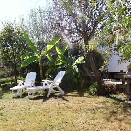 House Pierre D'oleron - 4 Pers, 32 M2, 3/2 *